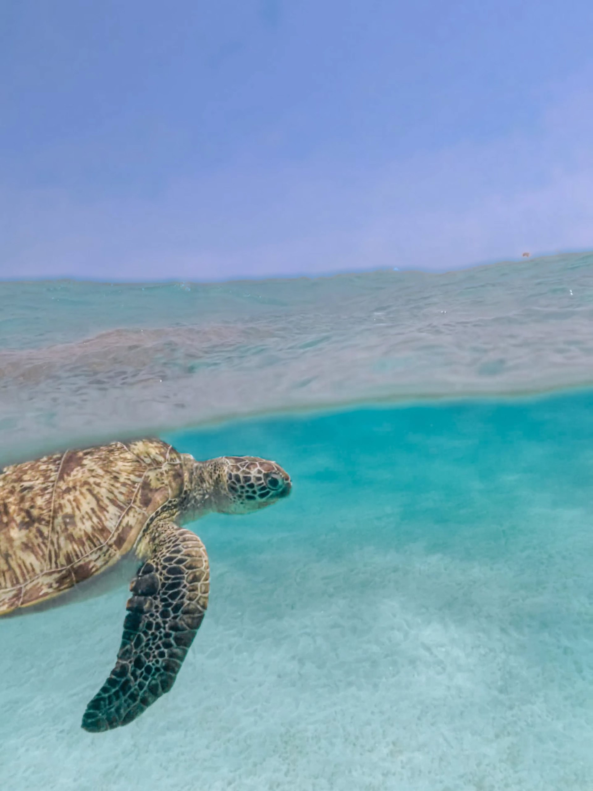 Marsa Alam
