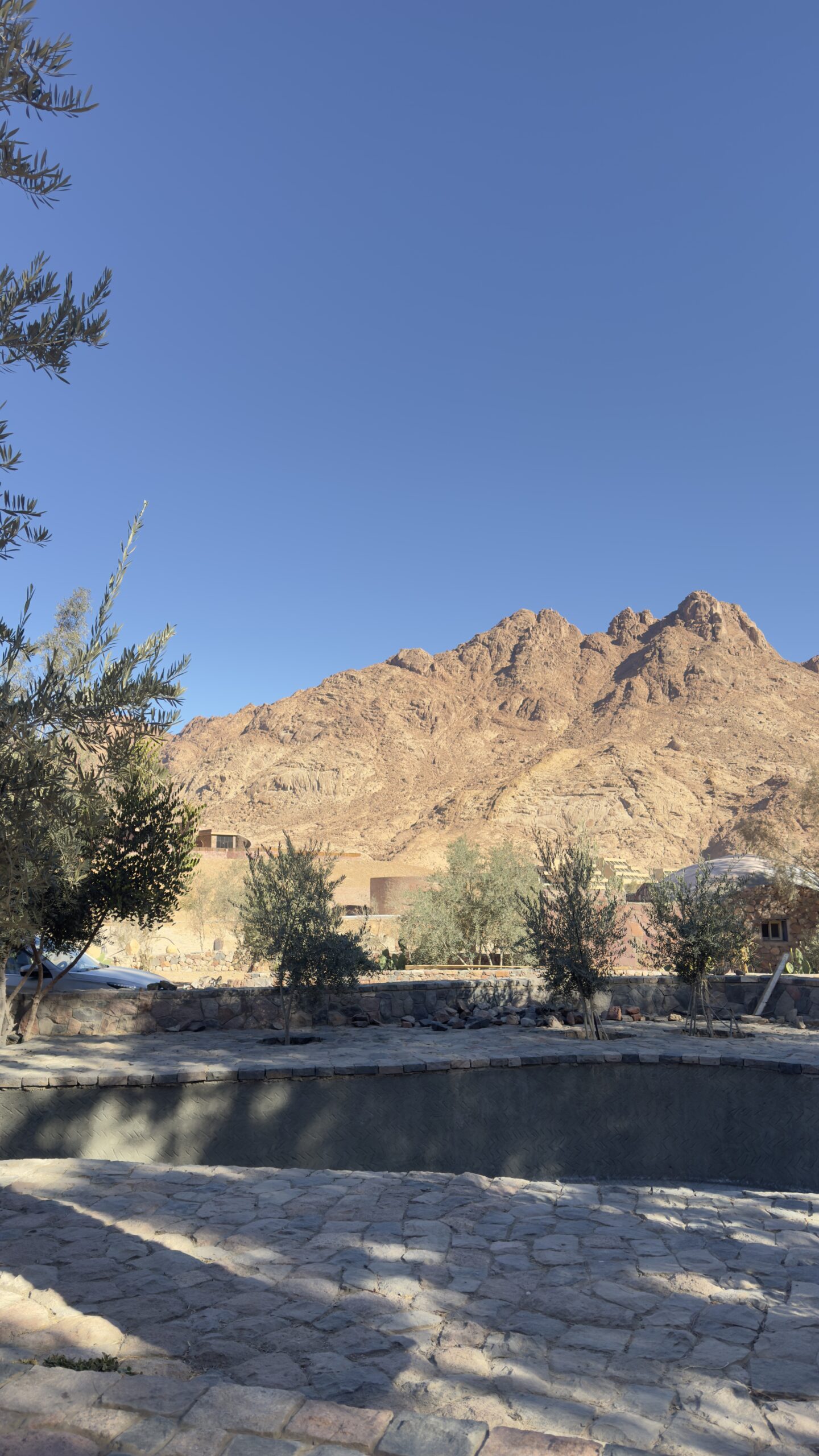 Camp Fox Catherine