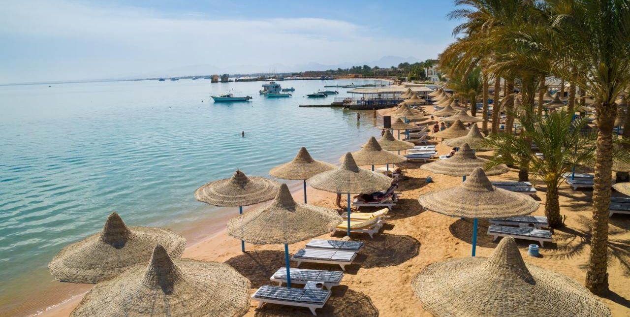 339293419_648682173749705_7163728900567305561_n